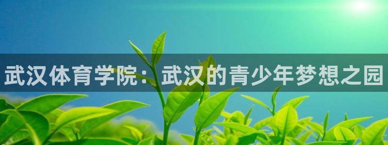 尊龙官方正版app集团logo：武汉体育学院：武汉的青少年梦