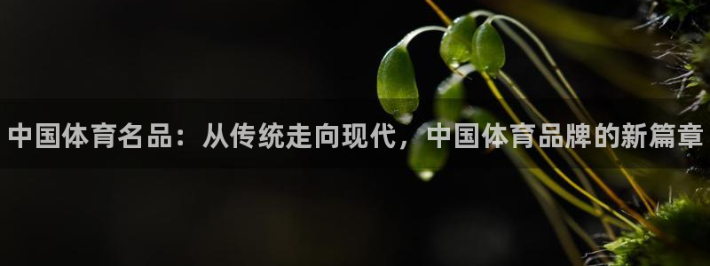 尊龙官方正版app神州：中国体育名品：从传统走向现代，中国体