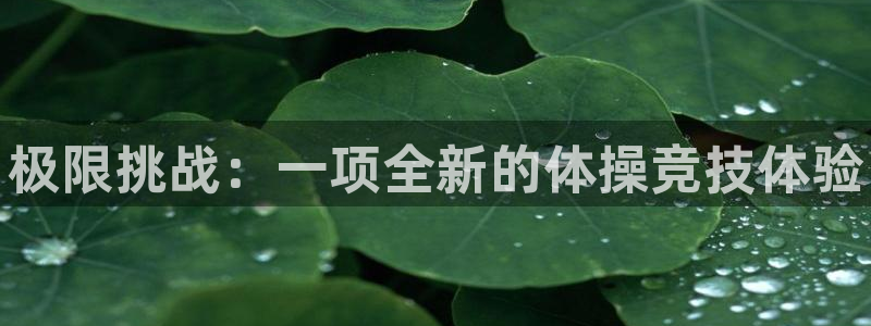 尊龙官方正版app集团E.ON：极限挑战：一项全新的体操竞技