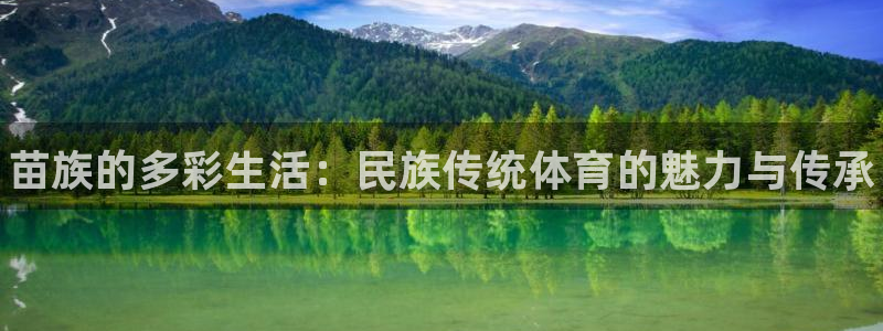 尊龙官方正版app集团logo：苗族的多彩生活：民族传统体育