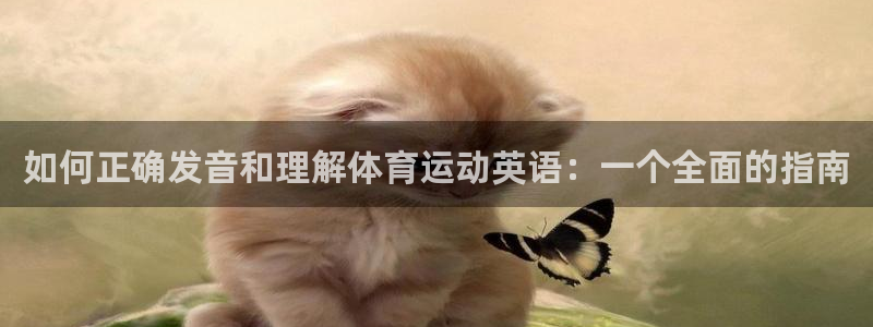 尊龙官网下载招商：如何正确发音和理解体育运动英语：一个全面的