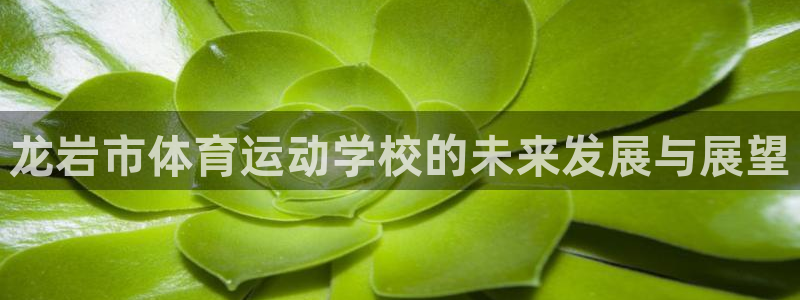 尊龙官网下载平台注册流程图：龙岩市体育运动学校的未来发展与展