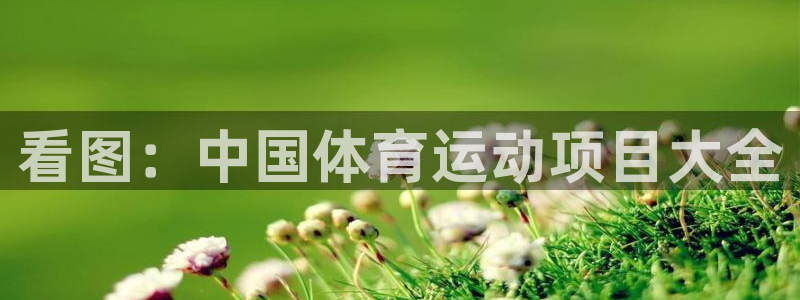 注册尊龙官方正版app：看图：中国体育运动项目大全