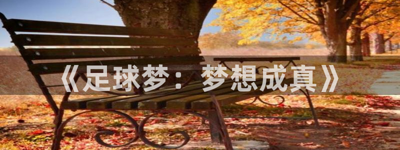 尊龙官方正版app集团logo：《足球梦：梦想成真》
