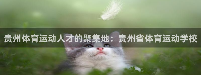 尊龙官方正版app集团logo：贵州体育运动人才的聚集地：贵