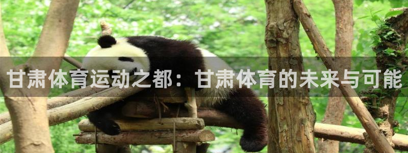 尊龙官网下载招商电话号码查询：甘肃体育运动之都：甘肃体育的未
