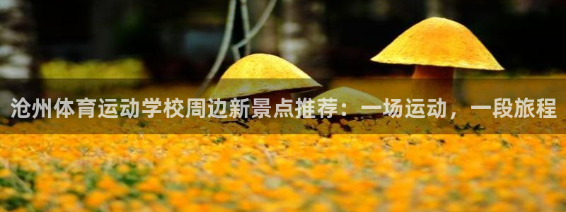 尊龙官方正版app集团logo：沧州体育运动学校周边新景点推