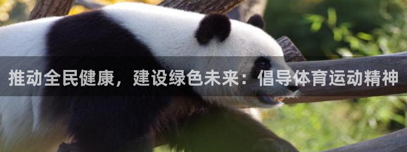 尊龙官方正版app代理：推动全民健康，建设绿色未来：倡导体育
