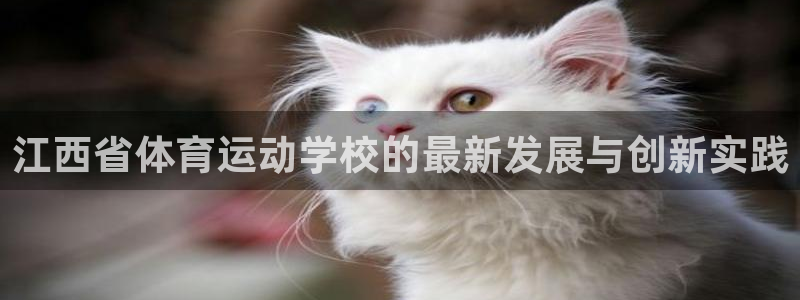 尊龙官网下载招商电话号码