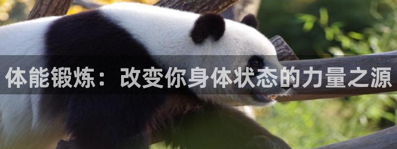 尊龙官网下载招商电话号码：体能锻炼：改变你身体状态的力量之源