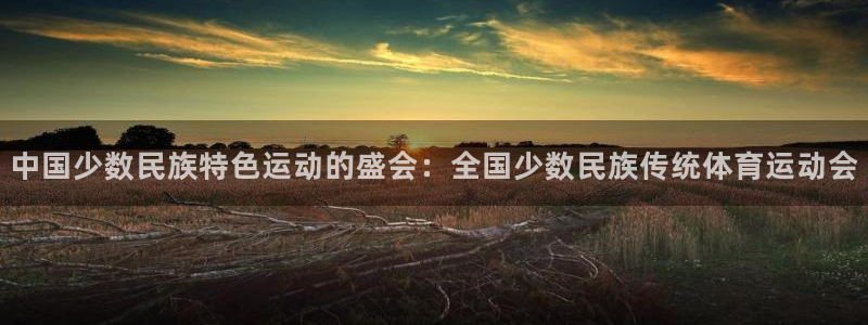 尊龙官网下载软件：中国少数民族特色运动的盛会：全国少数民族传