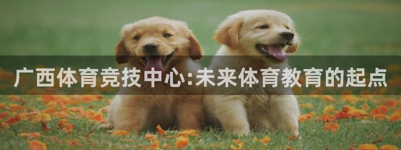尊龙官网下载注册：广西体育竞技中心:未来体育教育的起点