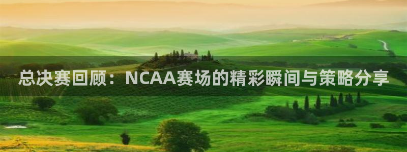 劲爆体育nba直播在线嗨球