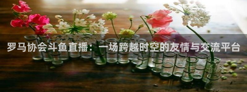劲爆体育频道在线观看免费：罗马协会斗鱼直播：一场跨越时空的友情与交流平台