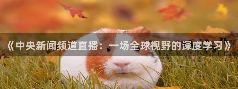 劲爆体育视频直播：《中央新闻频道直播：一场全球视野的深度学习》
