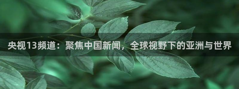 劲爆体育频道在线直播观看：央视13频道：聚焦中国新闻，全球视野下的亚洲与世界