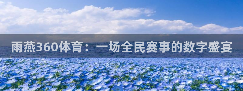 劲爆体育直播免费看：雨燕360体育：一场全民赛事的数字盛宴
