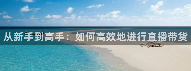 劲爆体育直播免费观看直播间：从新手到高手：如何高效地进行直播带货