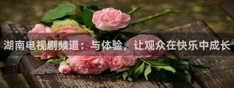 劲爆体育在线直播nba高清观看：湖南电视剧频道：与体验，让观众在快乐中成长
