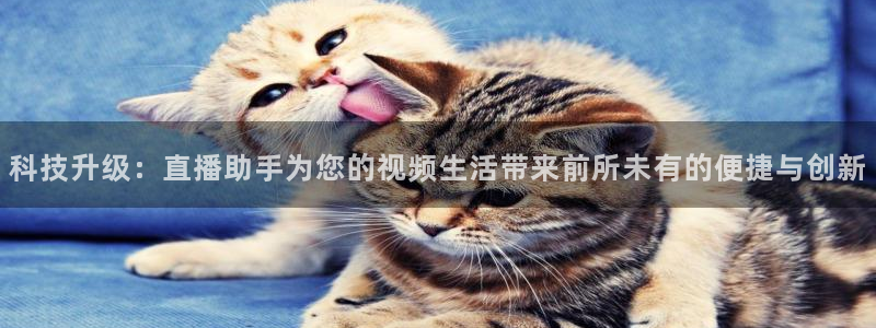 劲爆体育频道在线直播观看：科技升级：直播助手为您的视频生活带来前所未有的便捷与创新
