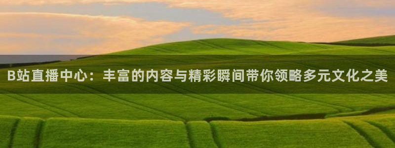 劲爆体育频道在线观看免费：B站直播中心：丰富的内容与精彩瞬间带你领略多元文化之美