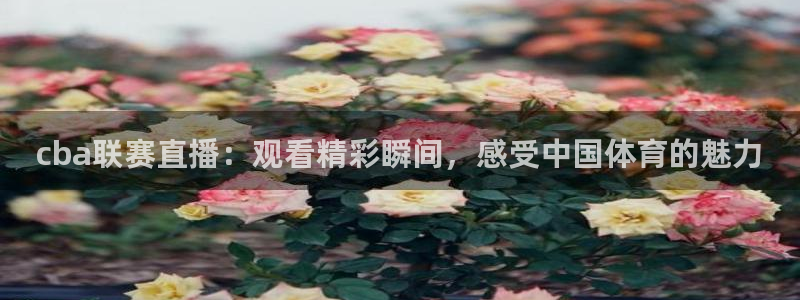 劲爆体育直播免费观看完整版：cba联赛直播：观看精彩瞬间，感受中国体育的魅力