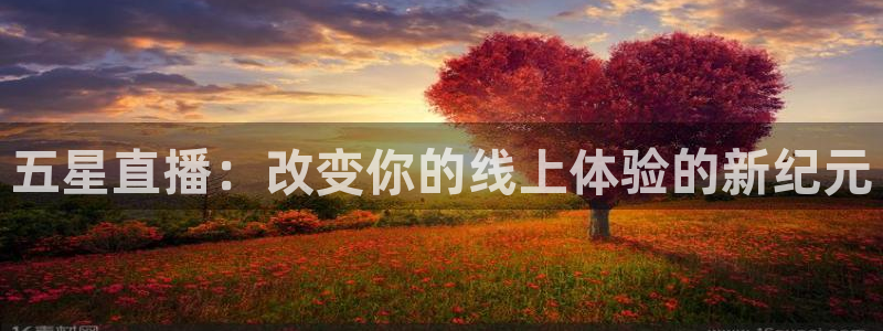 劲爆体育直播免费看：五星直播：改变你的线上体验的新纪元