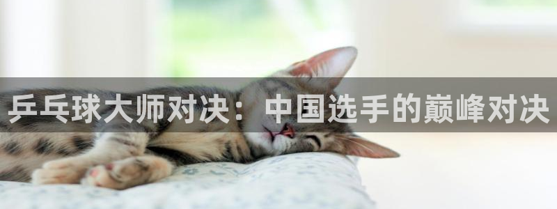 劲爆体育频道直播：乒乓球大师对决：中国选手的巅峰对决
