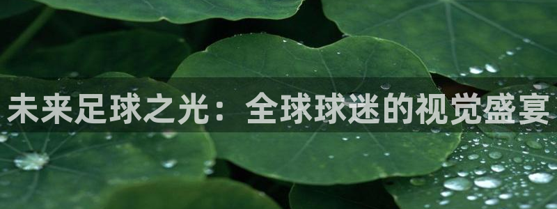 nba劲爆体育：未来足球之光：全球球迷的视觉盛宴