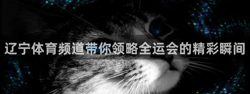 劲爆体育频道在线直播：辽宁体育频道带你领略全运会的精彩瞬间