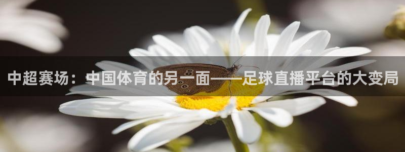 劲爆直播官网免费体育直播：中超赛场：中国体育的另一面——足球直播平台的大变局