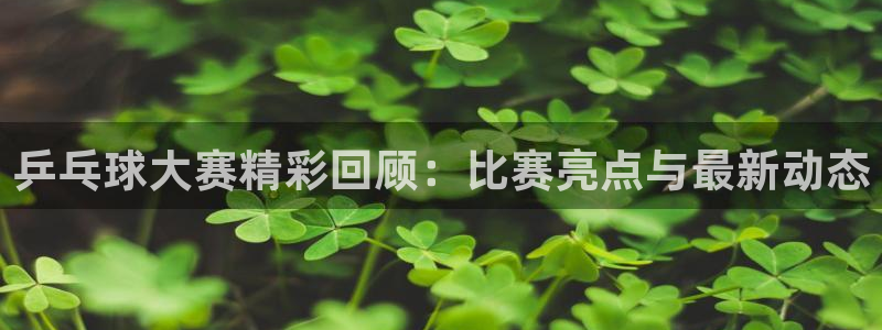 劲爆体育nba直播免费观看：乒乓球大赛精彩回顾：比赛亮点与最新动态